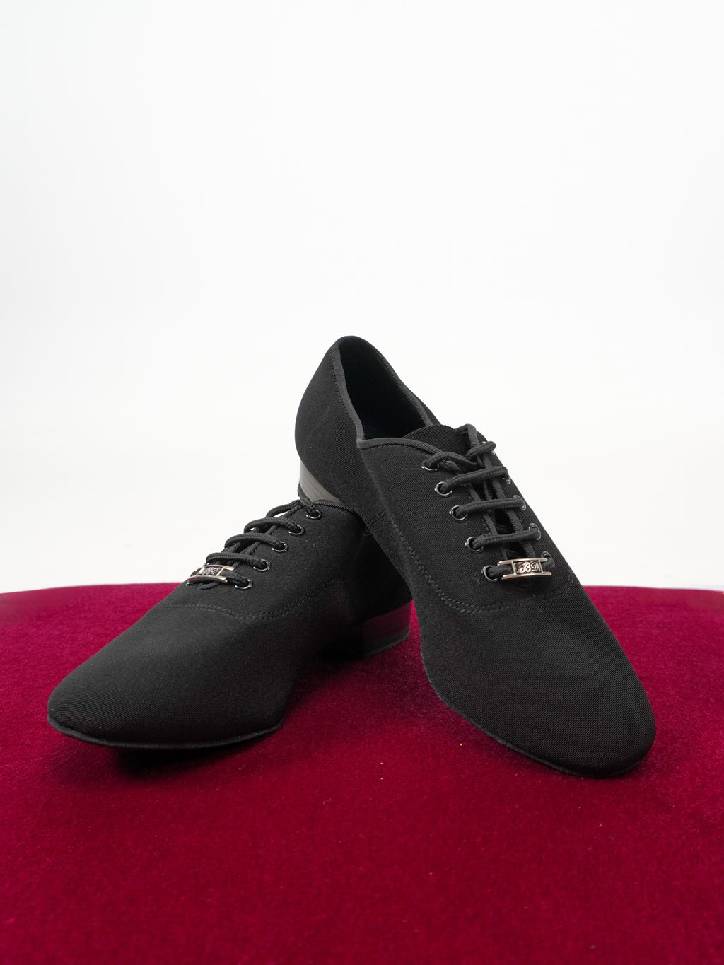 Model 302-1 in Canvas