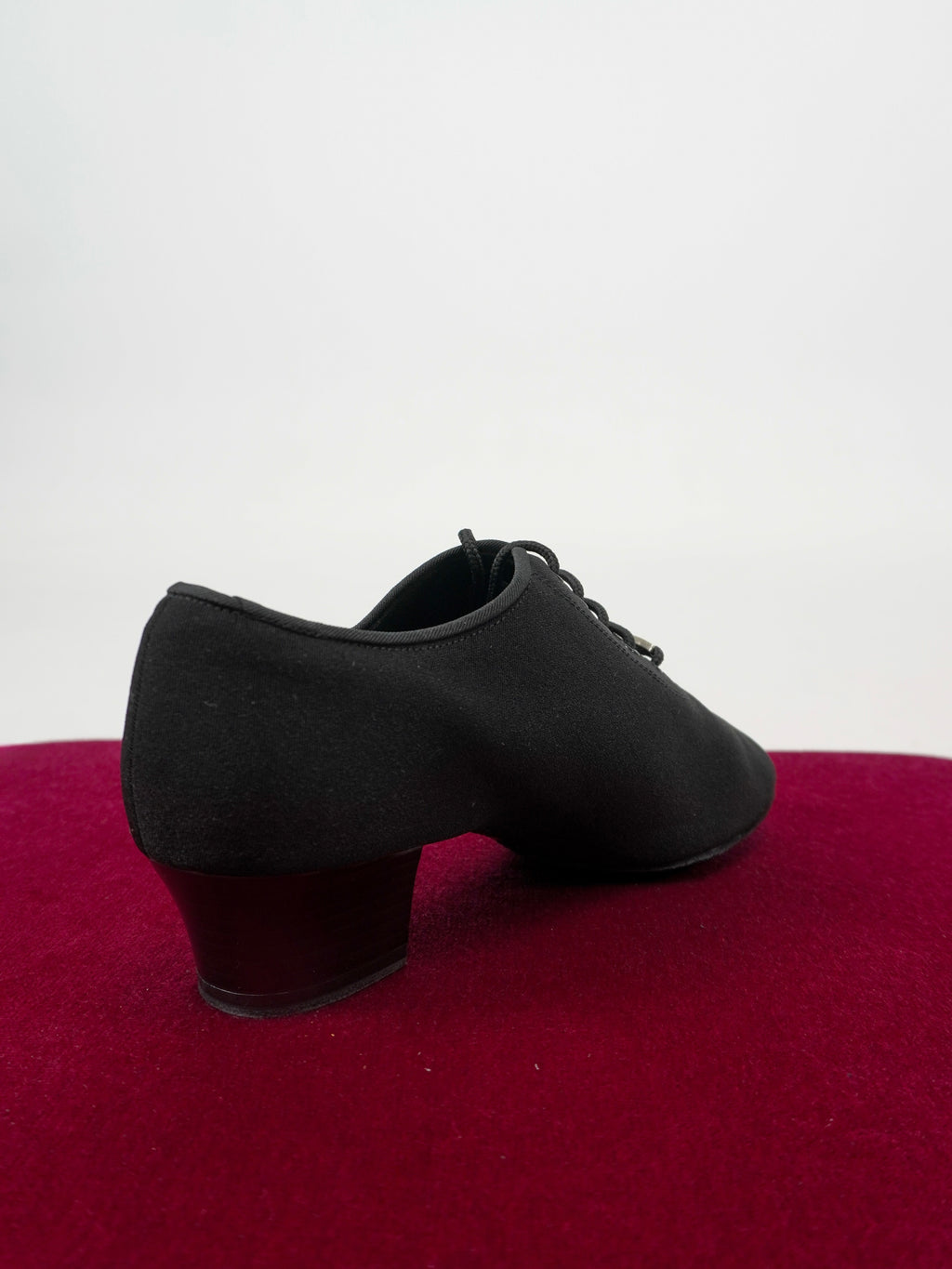 Model 401-1 in Canvas