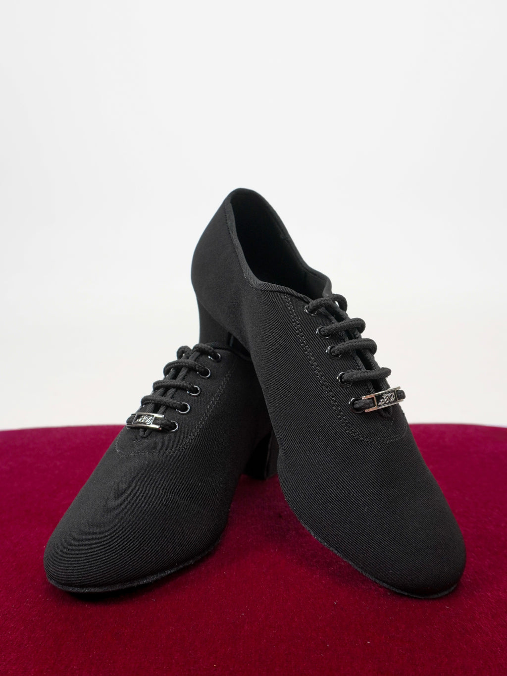 Model T1-B in Canvas