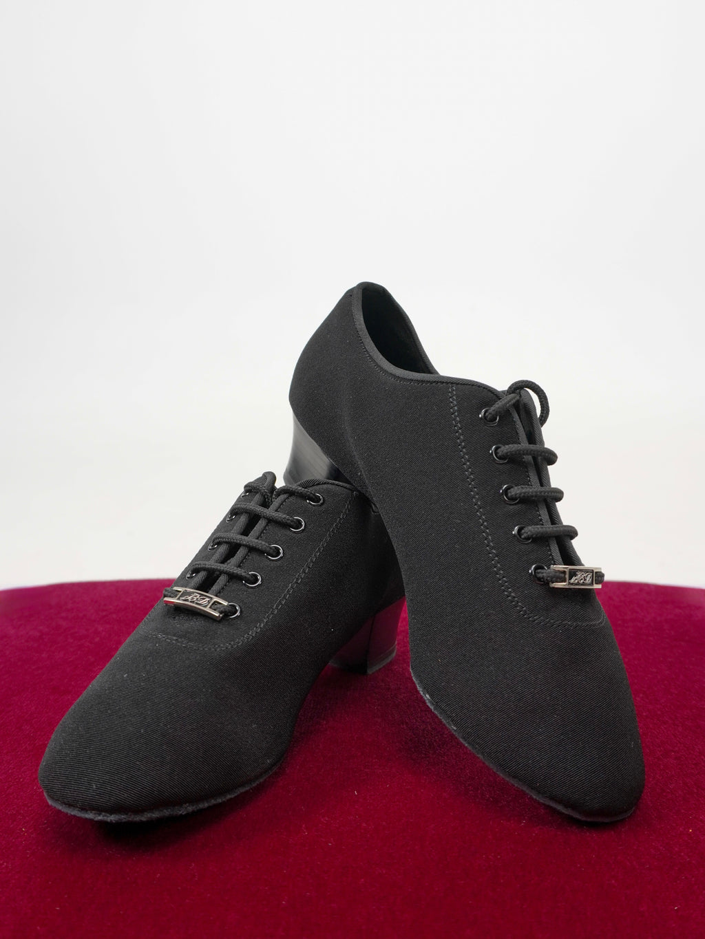 Model 401-1 in Canvas