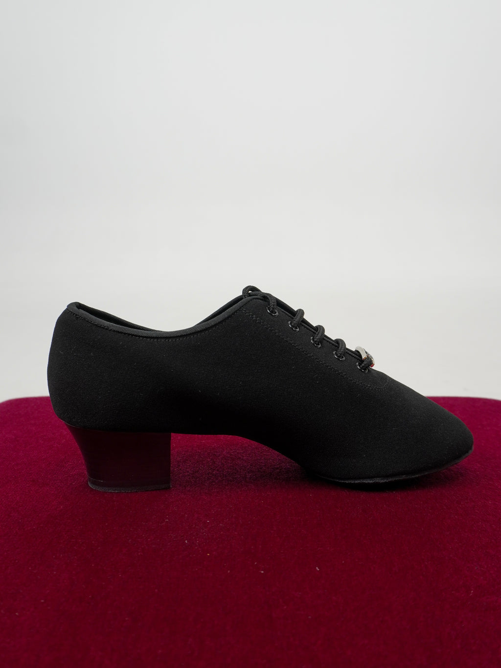 Model 401-1 in Canvas