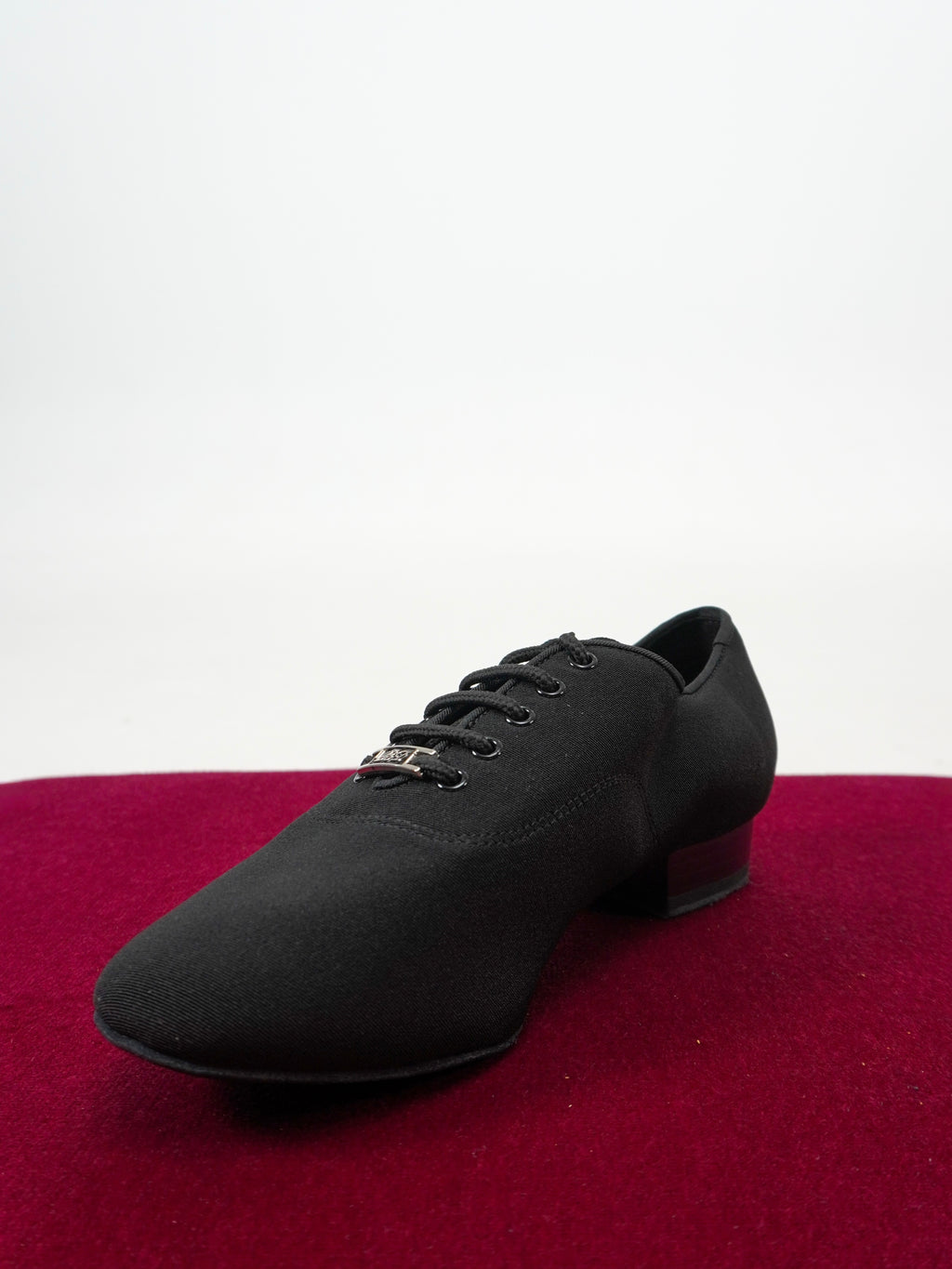 Model 302-1 in Canvas