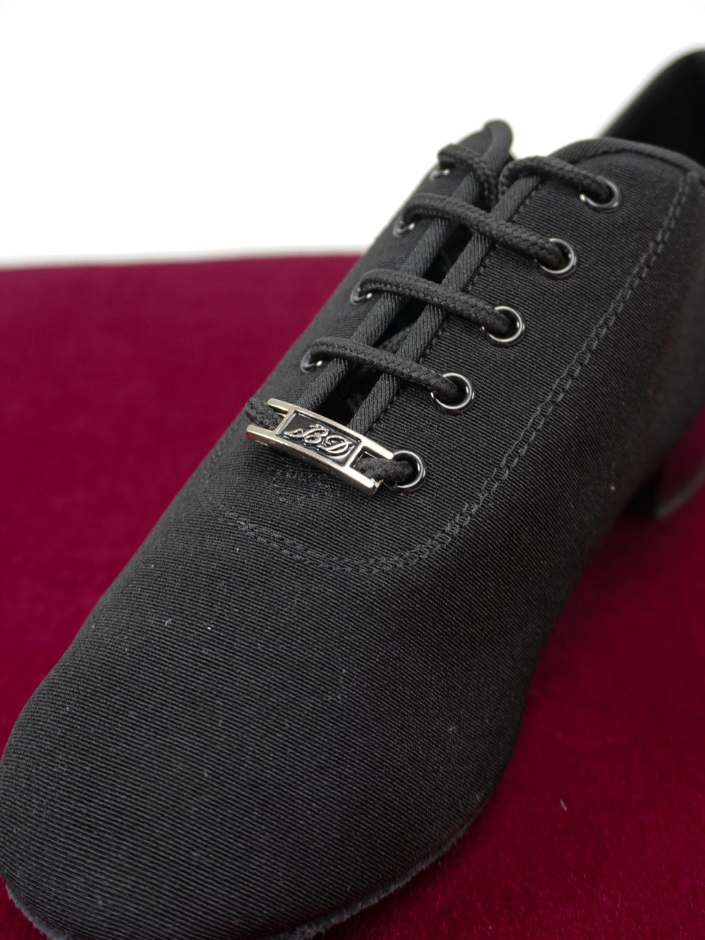 Model 401-1 in Canvas